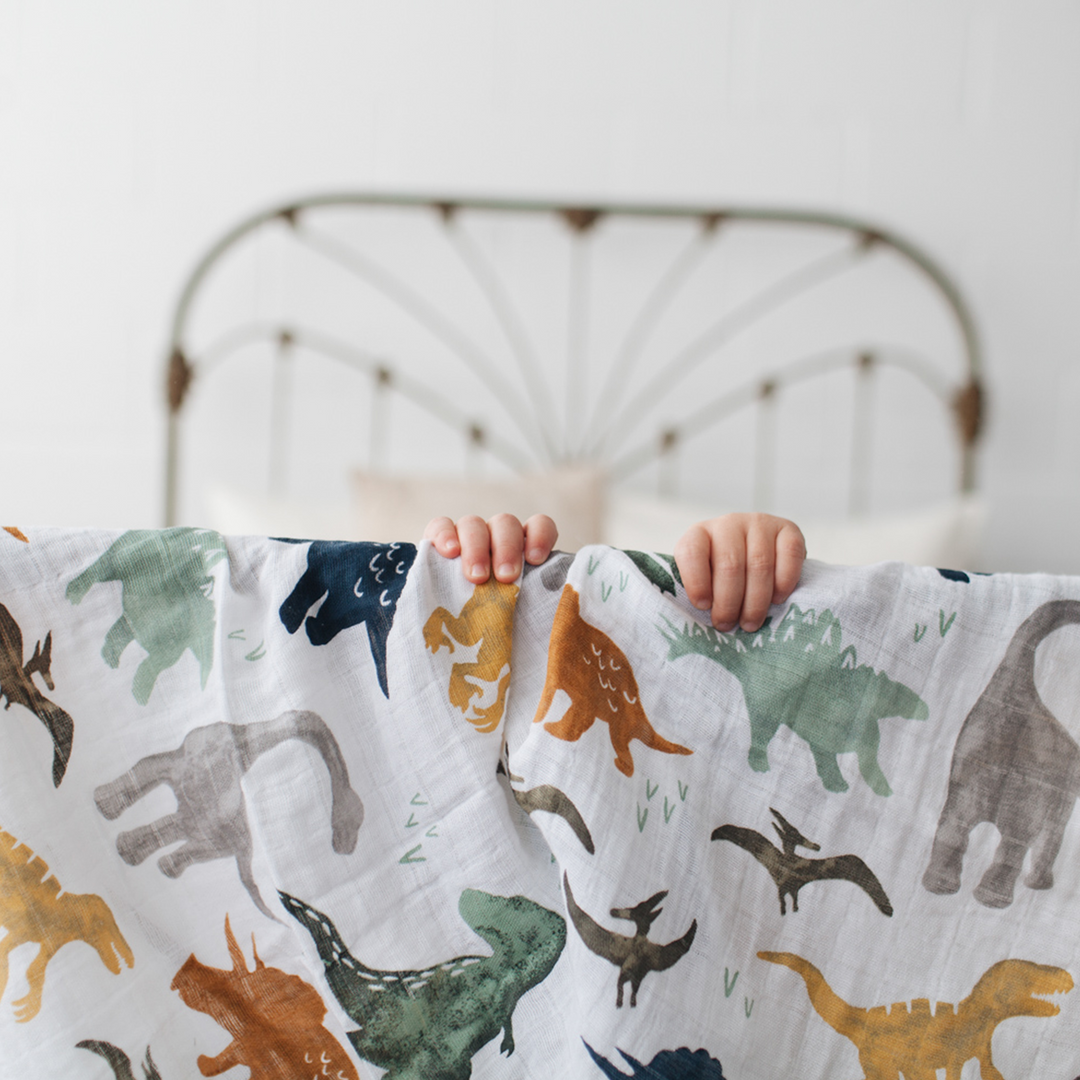 Dinosaur swaddle discount